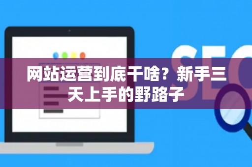 网站运营到底干啥？新手三天上手的野路子